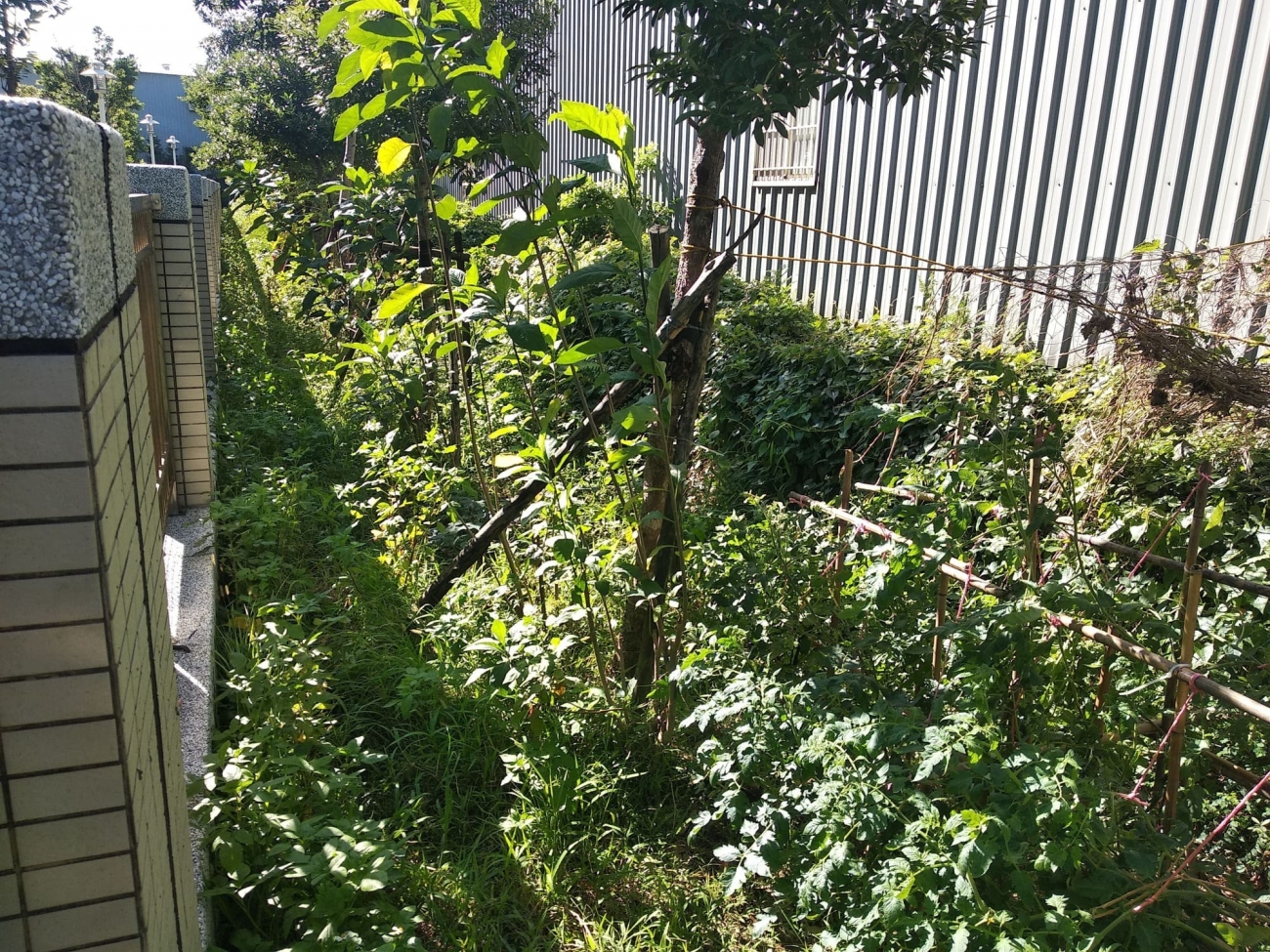 環境維護清潔綠美化_施工前